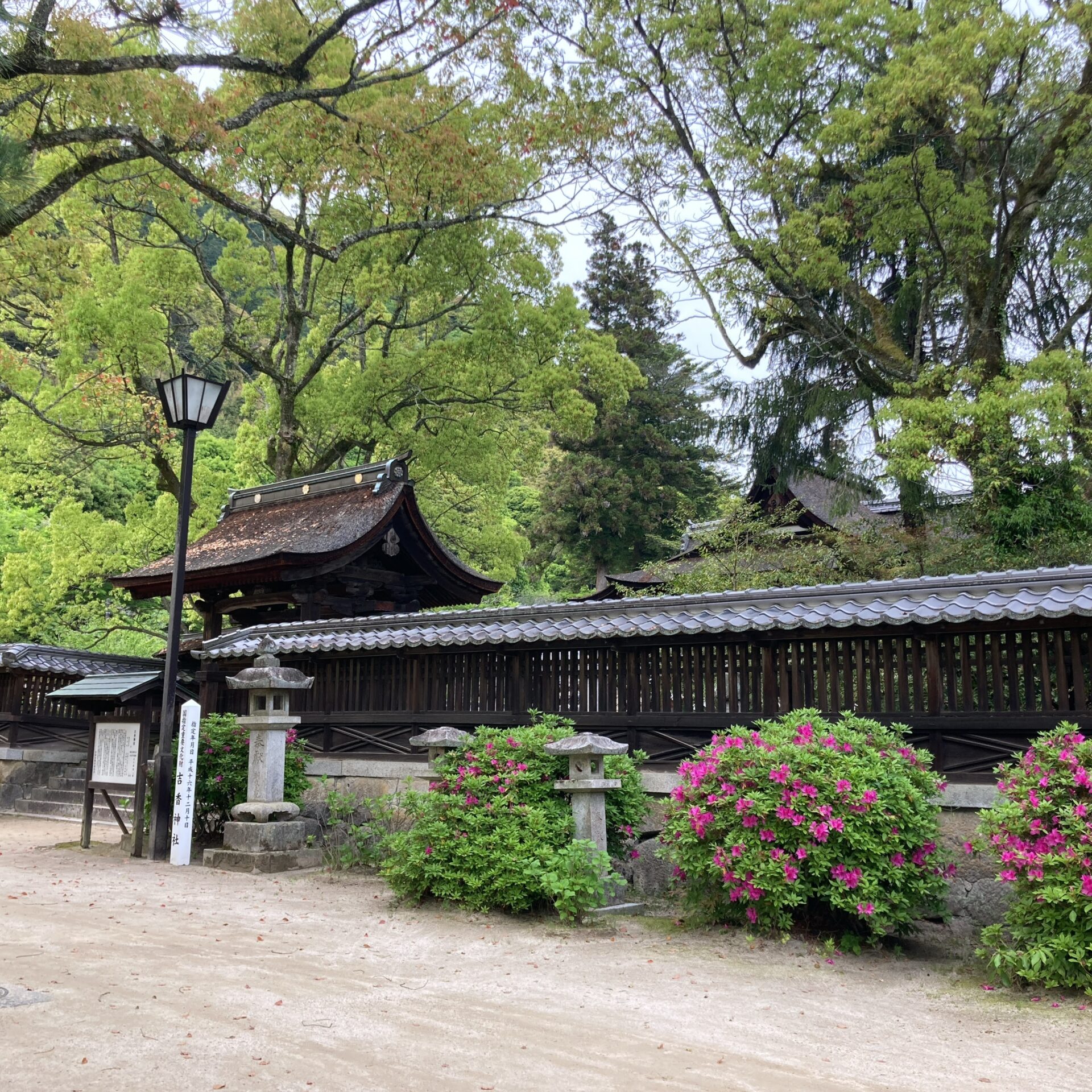 吉香神社の門の写真