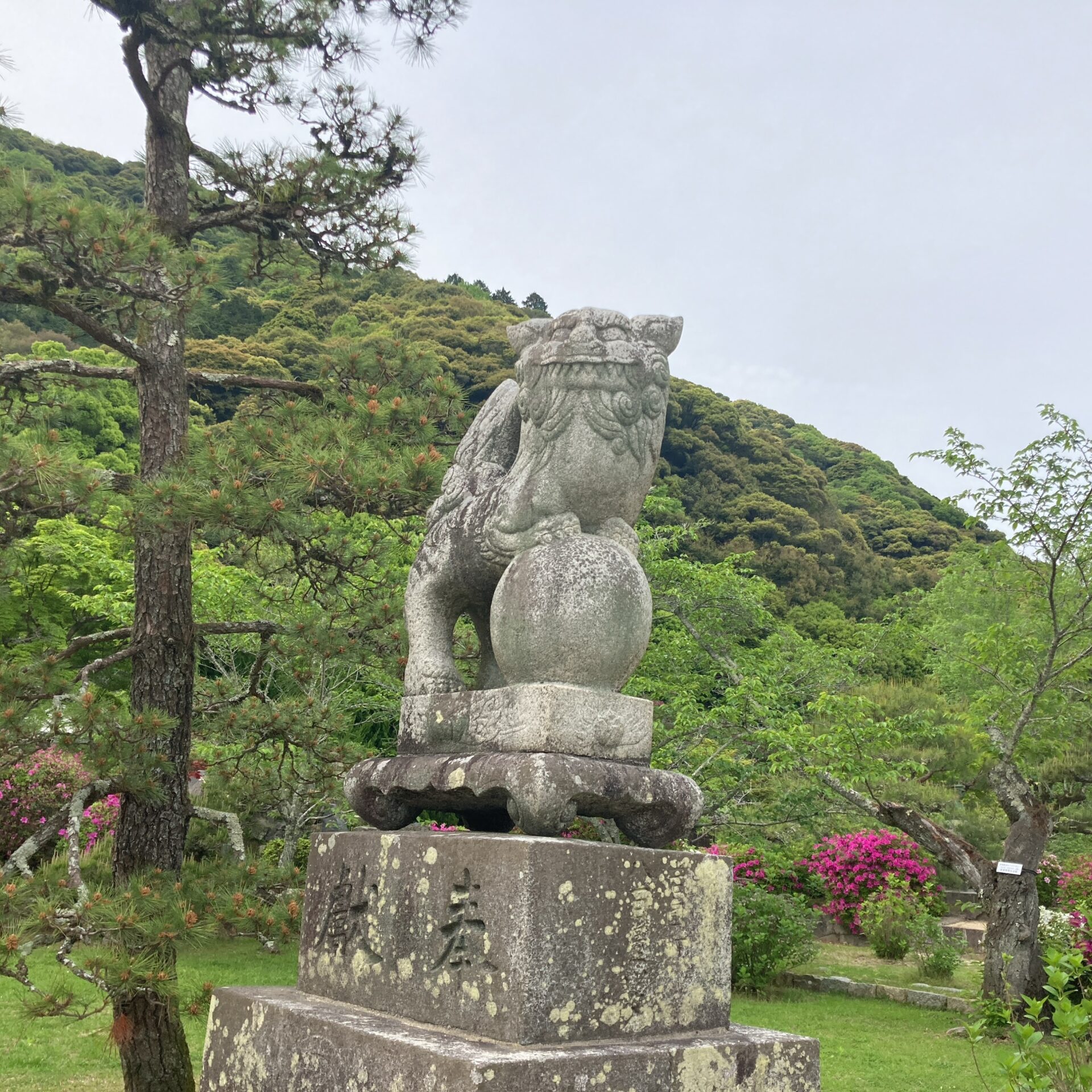 外門の対の狛犬の写真