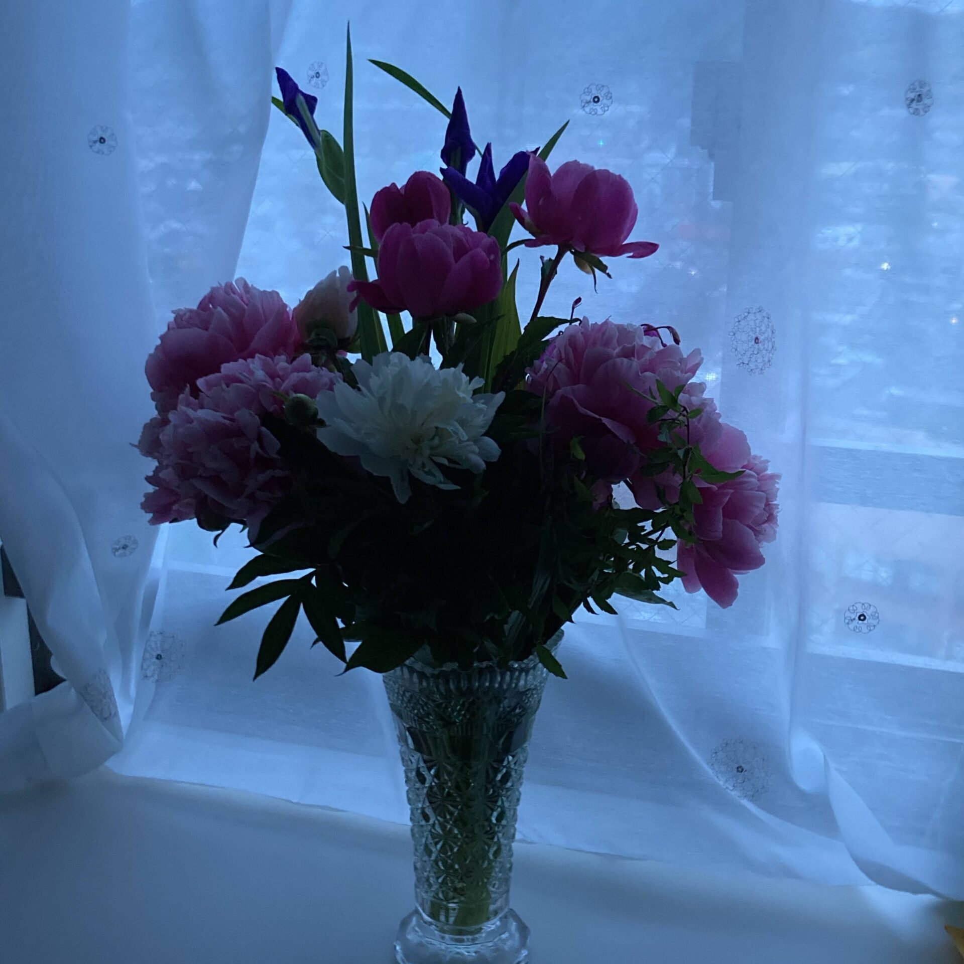 明け方の部屋に飾られた花の写真